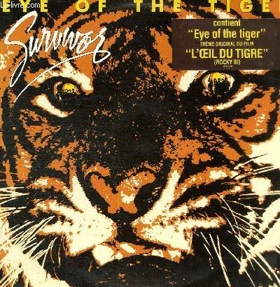 DISQUE VINYLE 33T EYE OF THE TIGER, FEELS LIKE LOVE, HESITATION DANCE, THE ONE THAT REALLY MATTERS, I'M NOT THAT MAN ANYMORE, CHILDREN OF THE NIGHT, EVER SINCE THE WORLD BEGAN, AMERICAN HEARTBEAT, SILVER GIRL.