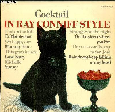 DISQUE VINYLE 33T RAY CONNIF STYLE