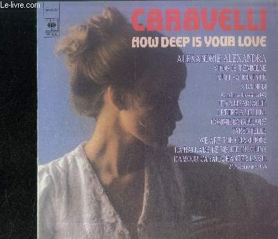DISQUE VINYLE 33T : HOW DEEP IS YOUR LOVE - How deep is your love, Viens je t'emmene, Mull of kintyre, A ba ni bi, It's a heartache, Lettre a Helene, Alexandrie Alexandra, Comme d'habitude, Tarentelle, We are the champions, La ballade de Mickie et Johny