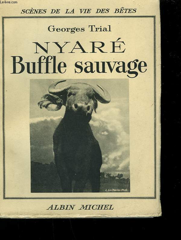 NYARE BUFFLE SAUVAGE.