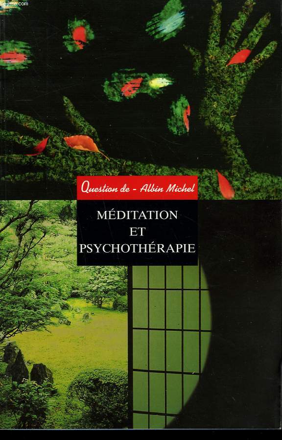 QUESTION DE N 121. MEDITATION ET PSYCHOTHERAPIE.