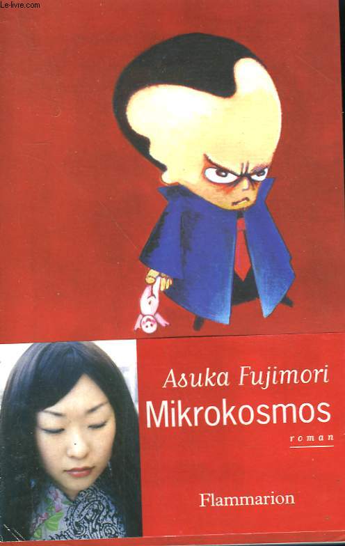 MIKROKOSMOS OU LE THEOREME DE SOGA.