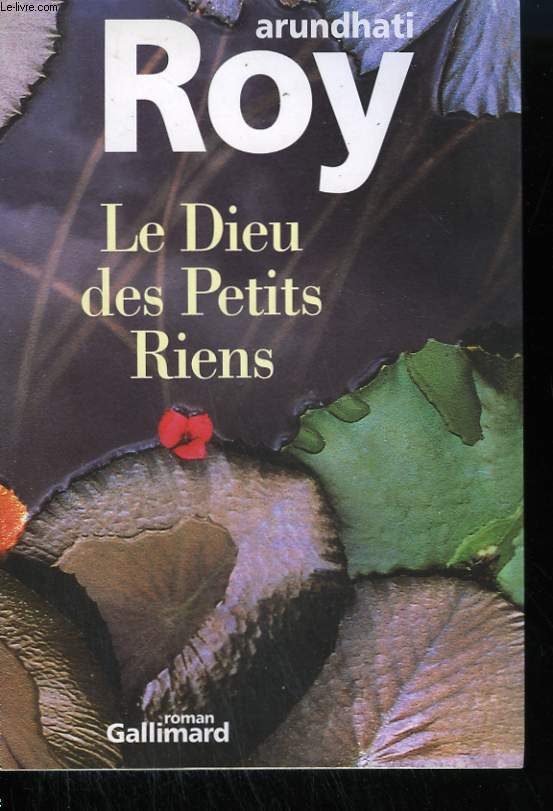 LE DIEU DES PETITS RIENS.