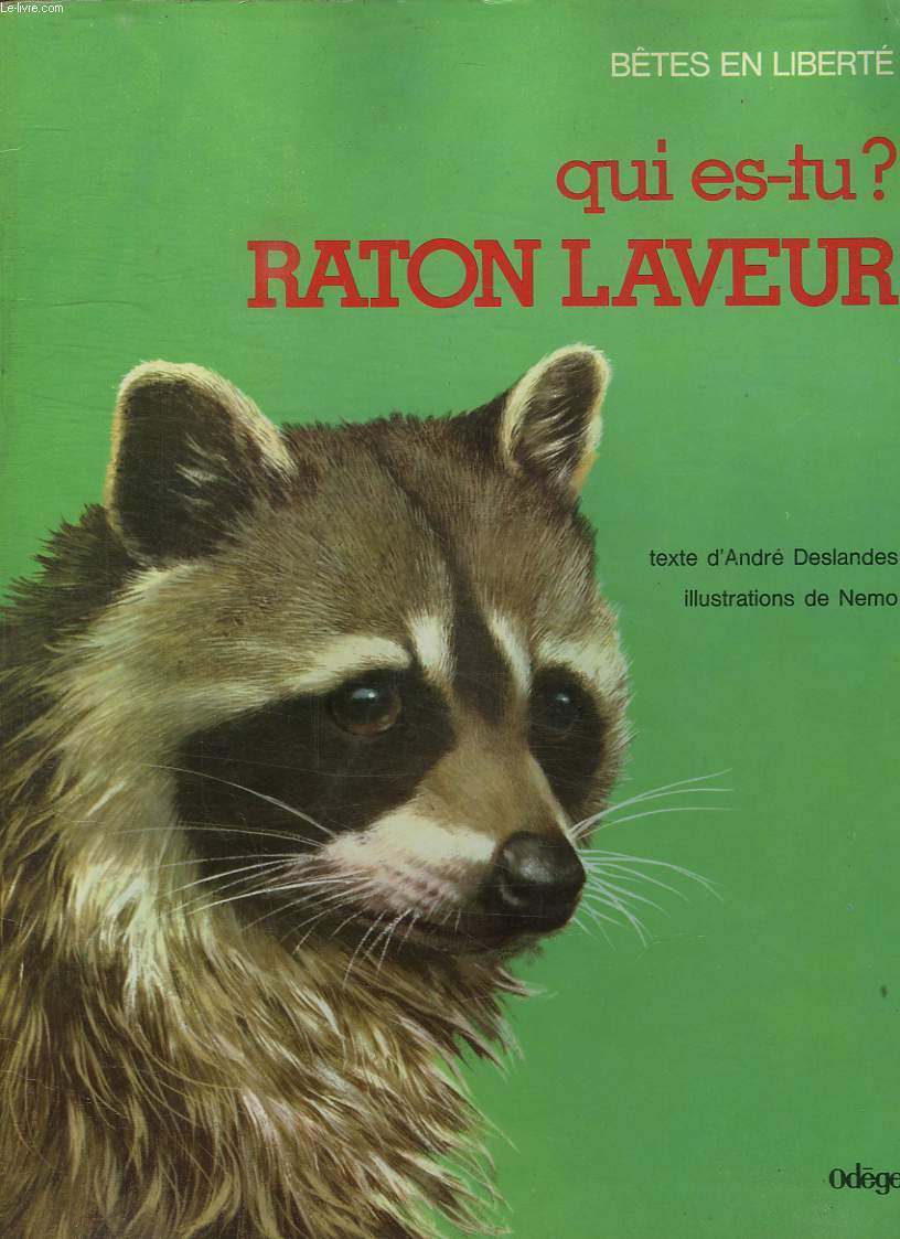 BETES EN LIBERTE. QUI ES TU? RATON LAVEUR.