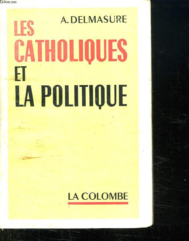 LES CATHOLIQUES ET LA POLITIQUE.