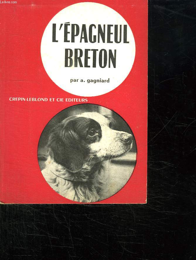 L EPAGNEUL BRETON CHIEN D ARRET IDEAL.
