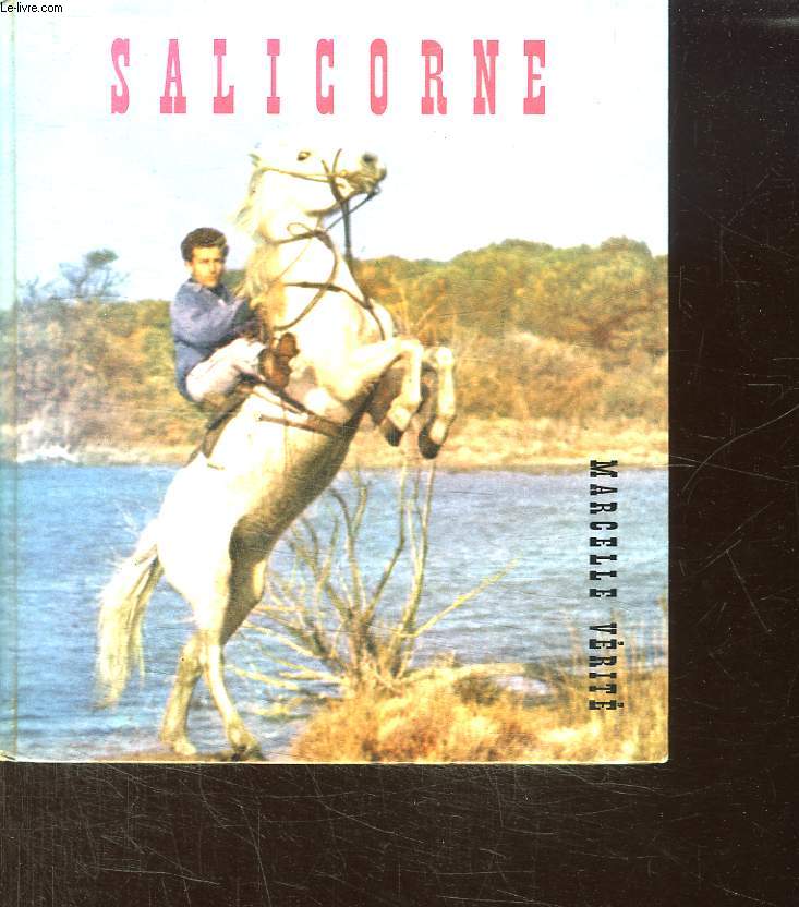 AUJOURD HUI L AVENTURE : LA CAMARGUE.