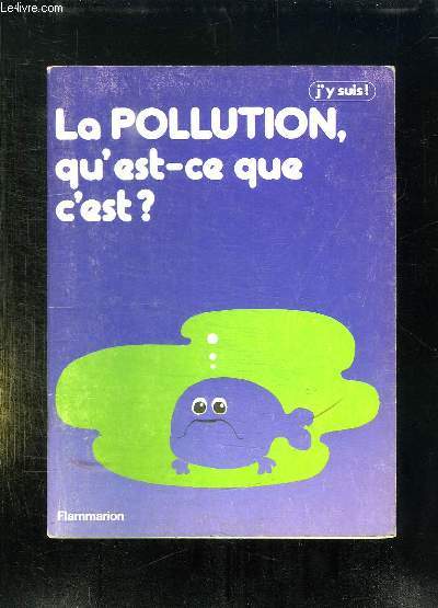 LA POLLUTION QU EST CE QUE C EST ?