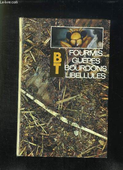 FOURMIIS GUEPES BOURDONS LIBELLULES.