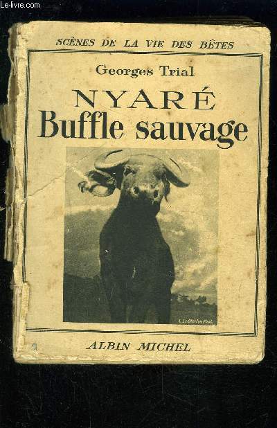 NYARE BUFFLE SAUVAGE