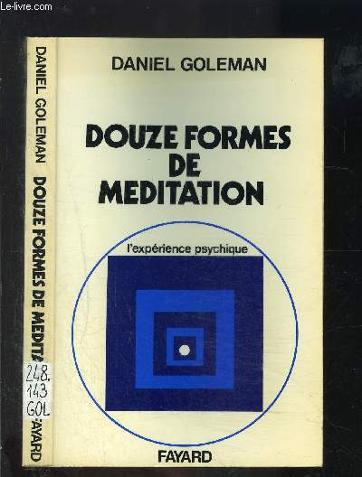 DOUZE FORMES DE MEDIATION- L EXPERIENCE PSYCHIQUE