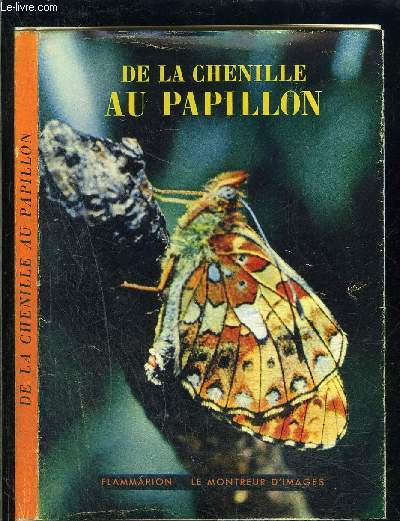 DE LA CHENILLE AU PAPILLON- L ATELIER DU PERE CASTOR- COLLECTION LE MONTREUR D IMAGES