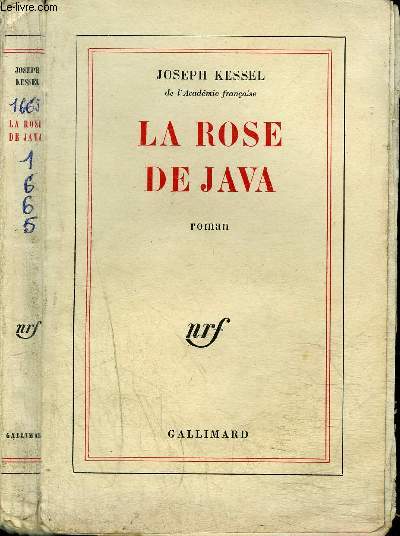 LE ROSE DE JAVA