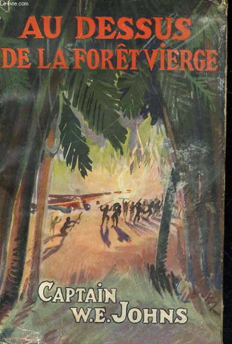 AU-DESSUS DE LA FORET VIERGE