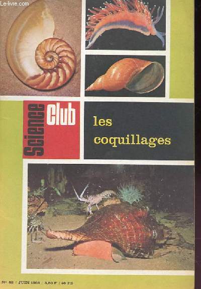 Science Club N 52 : Coquillages