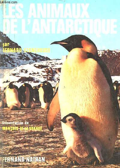 LES ANIMAUX DE L'ANTARCTIQUE