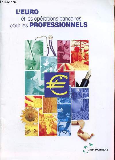 L'EURO ET LES CREATIONS BANCAIRES POUR LES PROFESSIONNELS