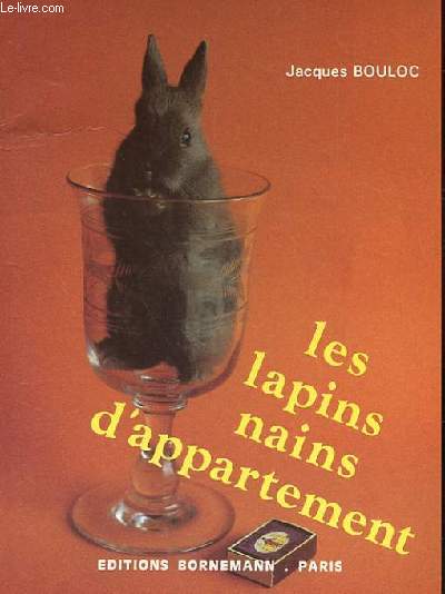 LES LAPINS NAINS D'APPARTEMENT