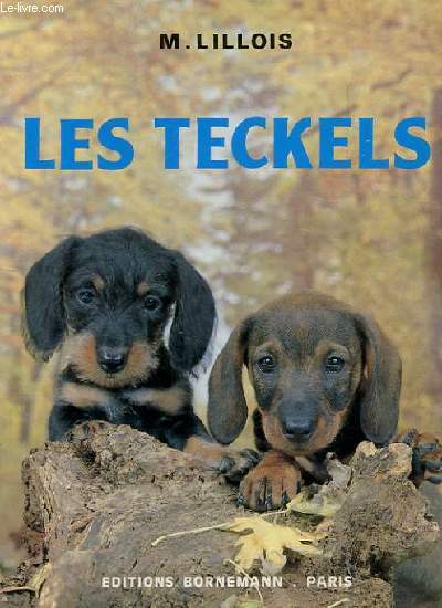 LES TECKELS CHIENS DE CHASSE ET D'AGREMENT