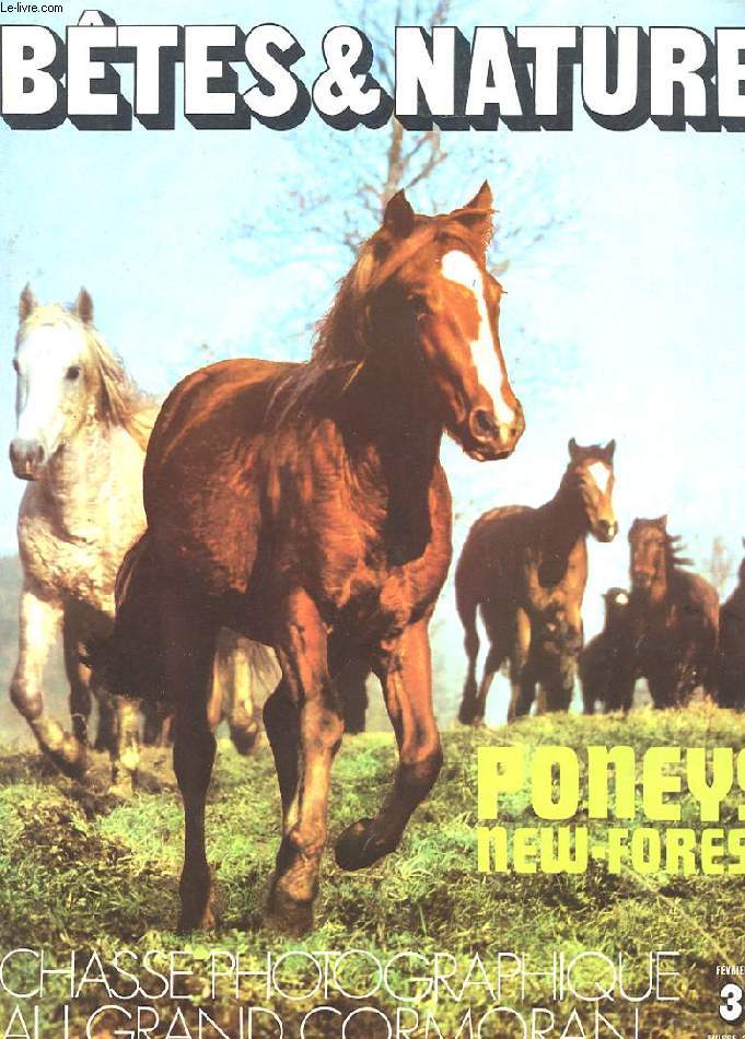 BETES ET NATURE. N82. FEVRIER 1971 PONEYS NEW-FOREST. CHASSE PHOTOGRAPHIQUE AU GRAND CORMORAN