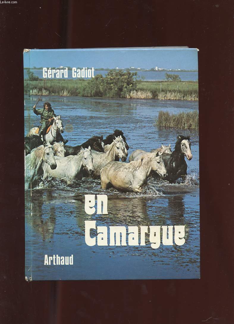 EN CAMARGUE. TAUREAUX, CHEVAUX ET GARDIANS.