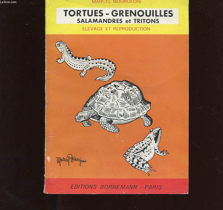 TORTUES GRENOUILLES SALAMANDRES ET TRITONS. ELEVAGE ET REPRODUCTION