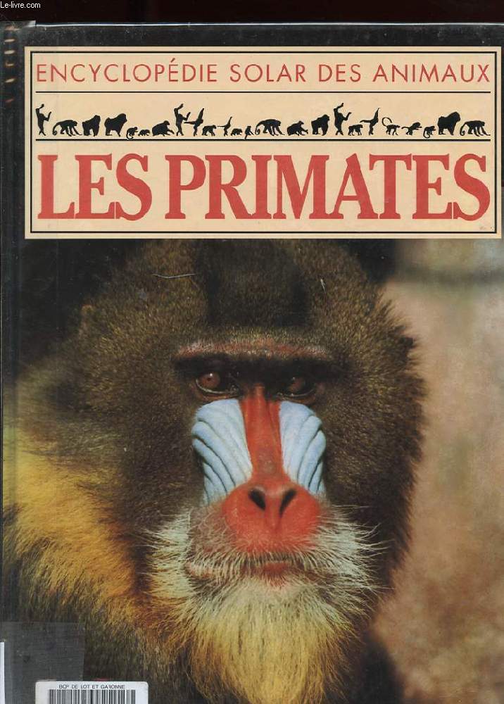 ENCYCLOPEDIE SOLAR DES ANIMAUX. LES PRIMATES