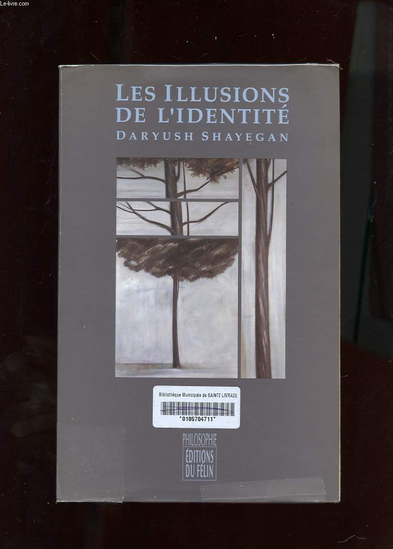 LES ILLUSIONS DE L'IDENTITE