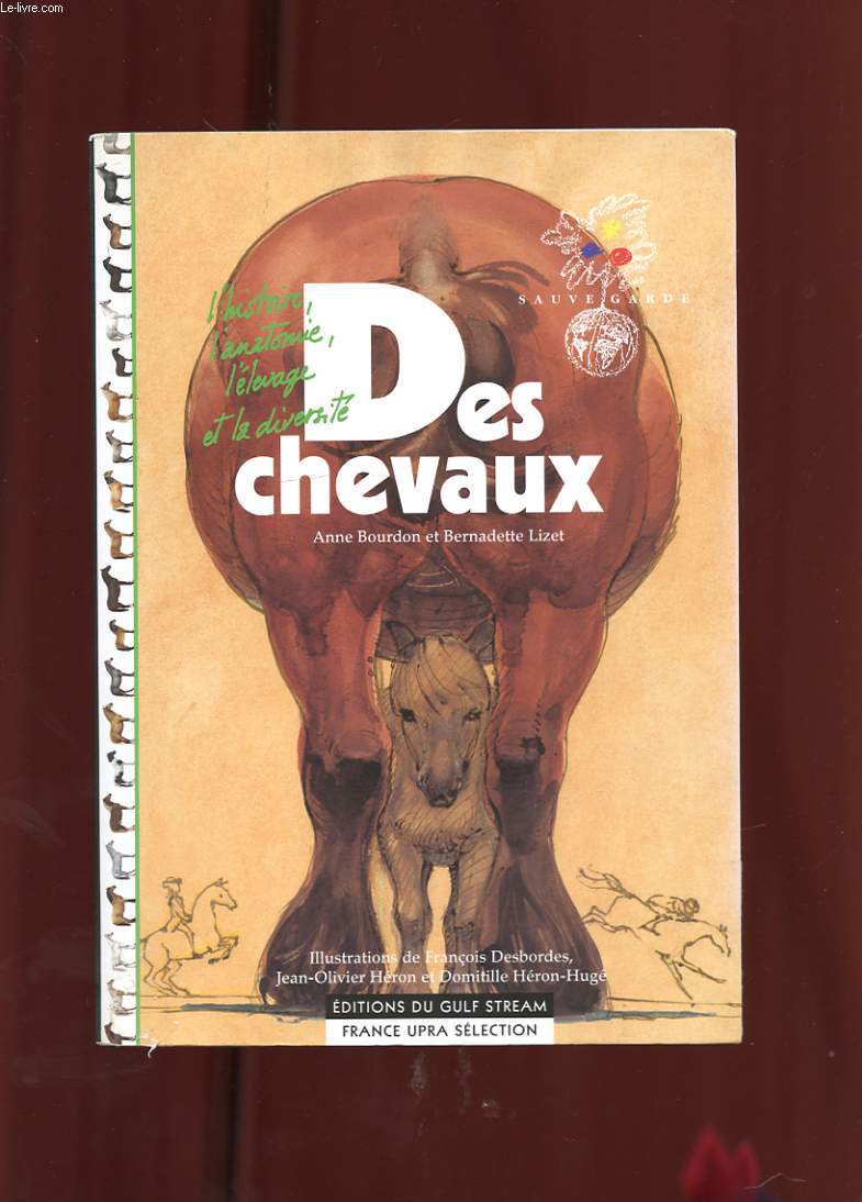 DES CHEVAUX