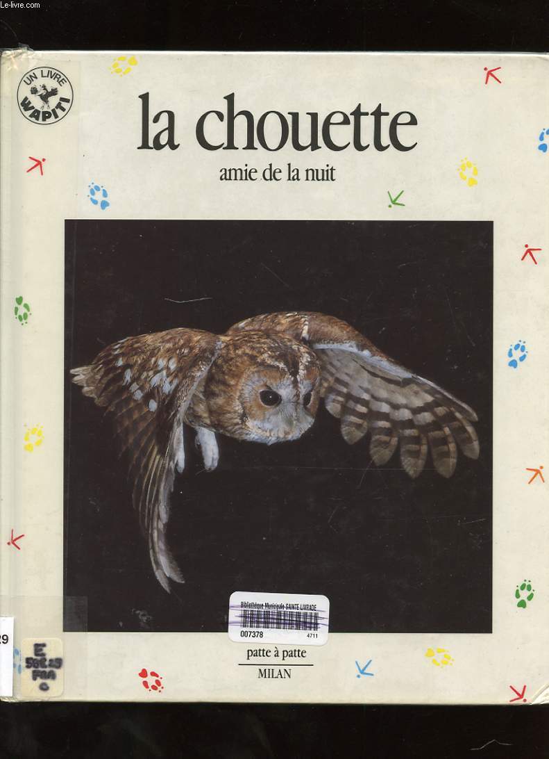 LA CHOUETTE AMIE DE LA NUIT