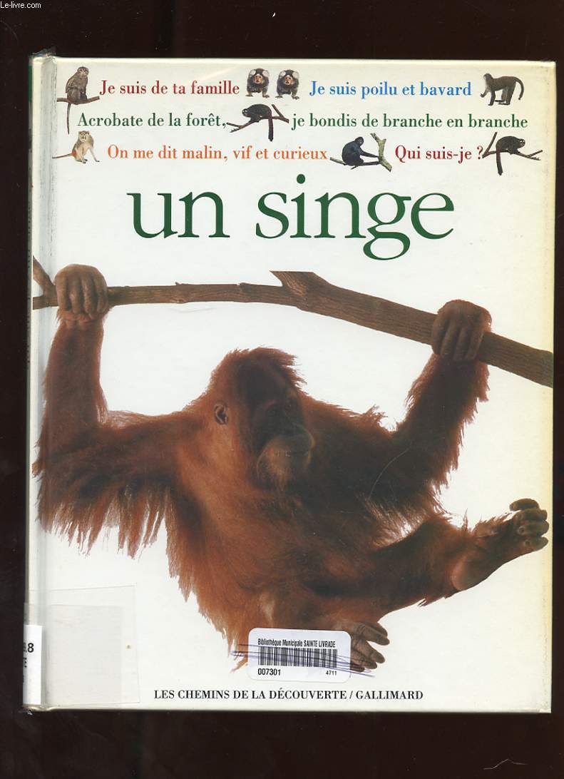 QUI SUIS-JE? UN SINGE