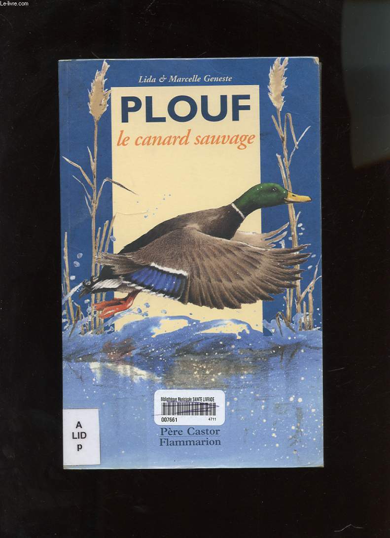 PLOUF LE CANARD SAUVAGE