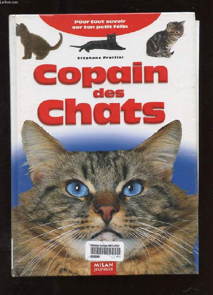 COPAIN DES CHATS - FRATTINI STEPHANE - 1997 - Picture 1 of 1