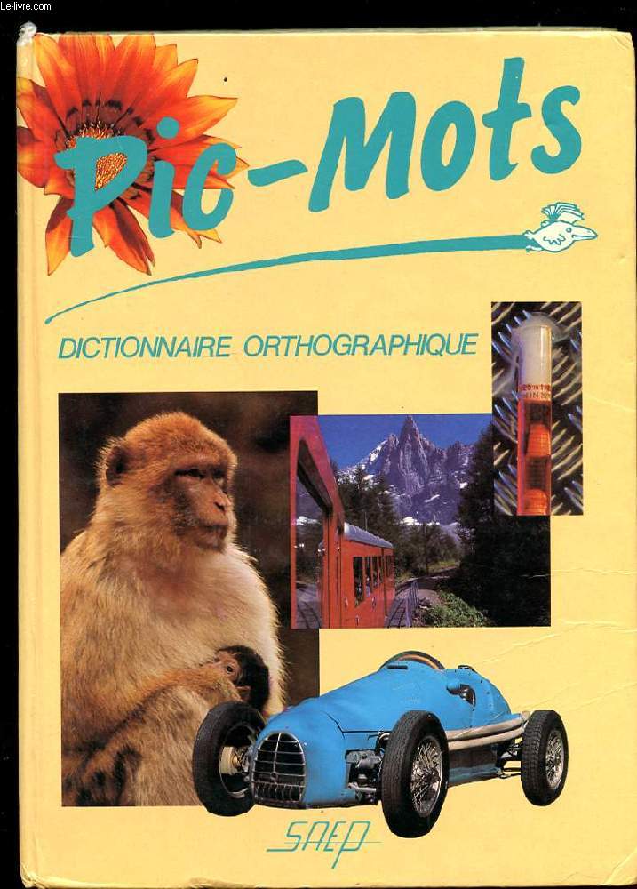 PIC-MOTS. DICTIONNAIRE ORTHOGRAPHIQUE DE LA COMMUNICATION POUR LES DEBUTANTS