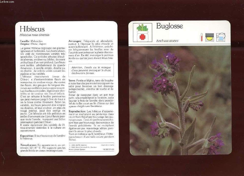 UN LOT DE 60 FICHES SUR LES PLANTES
