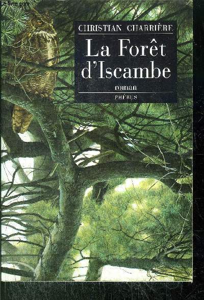 LA FORET D'ISCAMBE