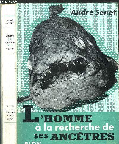 L'HOMME A LA RECHERCHE DE SES ANCETRES