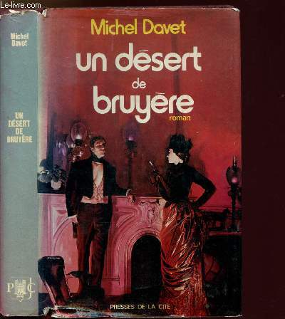 UN DESERT DE BRUYERE