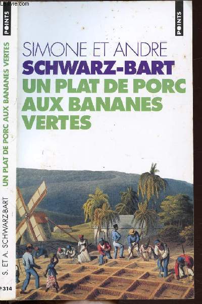 UN PLAT DE PORC AUX BANANES VERTES - COLLECTION POINTS ROMAN NP314