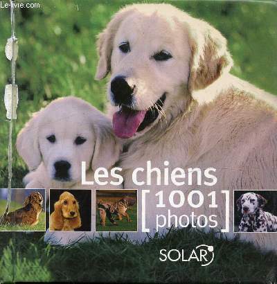 LES CHIENS [1001 PHOTOS]