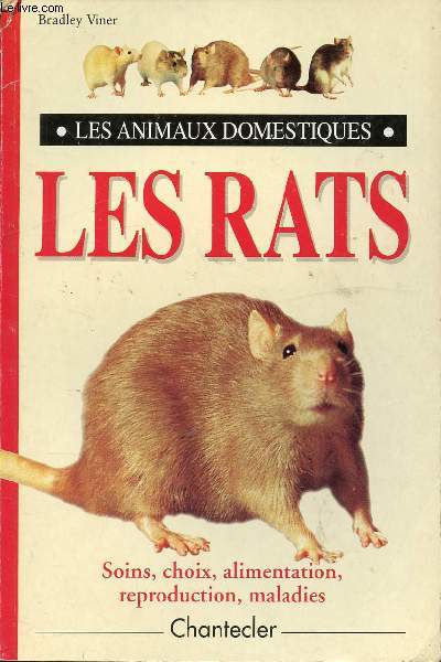 LES ANIMAUX DOMESTIQUES - LES RATS