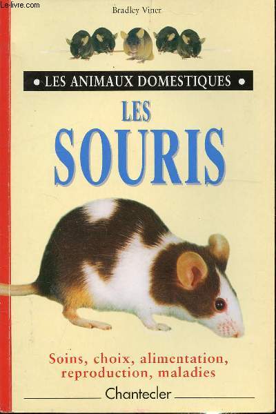 LES ANIMAUX DOMESTIQUES - LES SOURIS