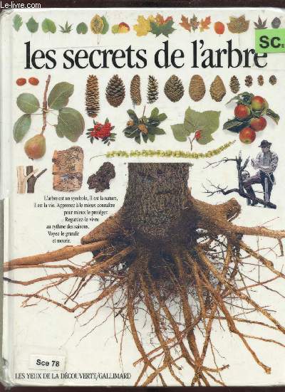 LES SECRETS DE L'ARBRE