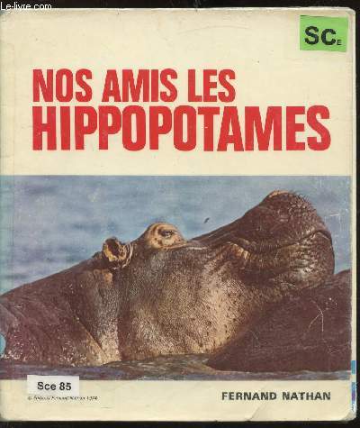 Nos amis les hippopotames