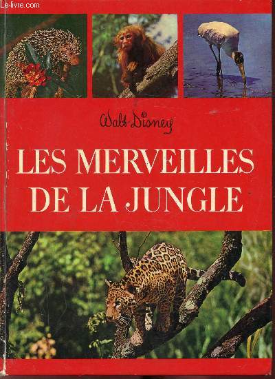 Les merveilles de la jungle