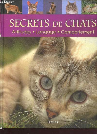 Secrets de chats - attitudes - language - comportements
