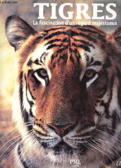 Tigres - la fascination d'un regard majestueux