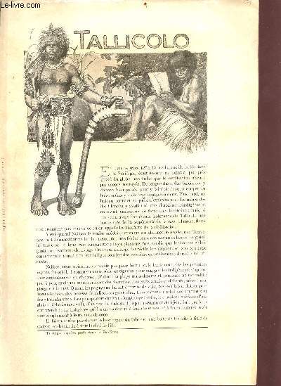 Tallicolo - supplment  l'Illustration du 11 novembre 1905