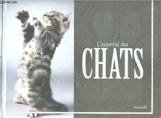 L'essentiel des chats