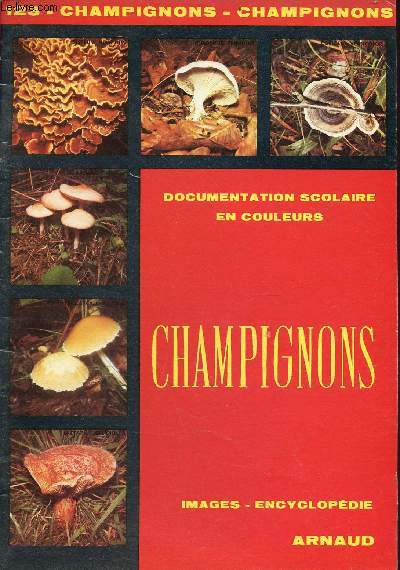 Champignons - documentation scolaire pour illustrer: cours, cahiers, copies, enqute, travaux pratiques... - Collection images-encyclopdie n123
